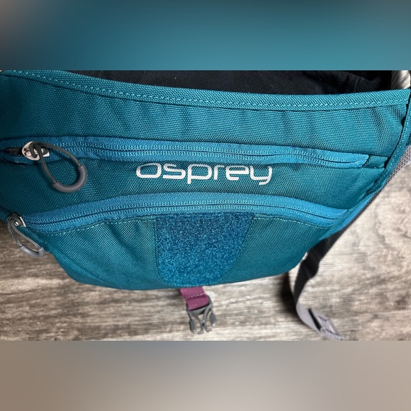 OSPREY Teal TABLET Device CROSSBODY Messenger BAG - Picture 7 of 16